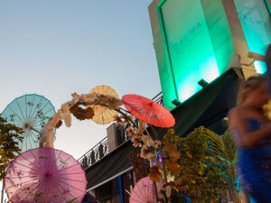 MIRADOR CALMA & LA CHARCUTERIA